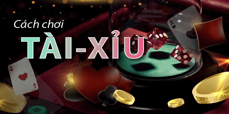 Cách Chơi Tài Xỉu Online Đơn Giản, Hiệu Quả 4 Quy luật của cách chơi tài xỉu online?